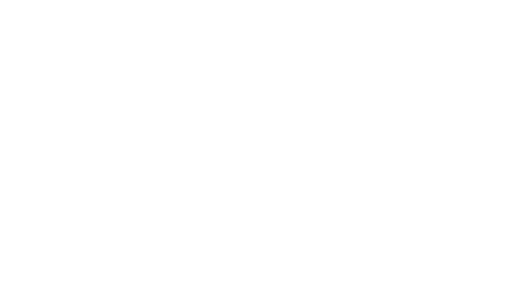 Bandlogo INDIAN NIGHTMARE